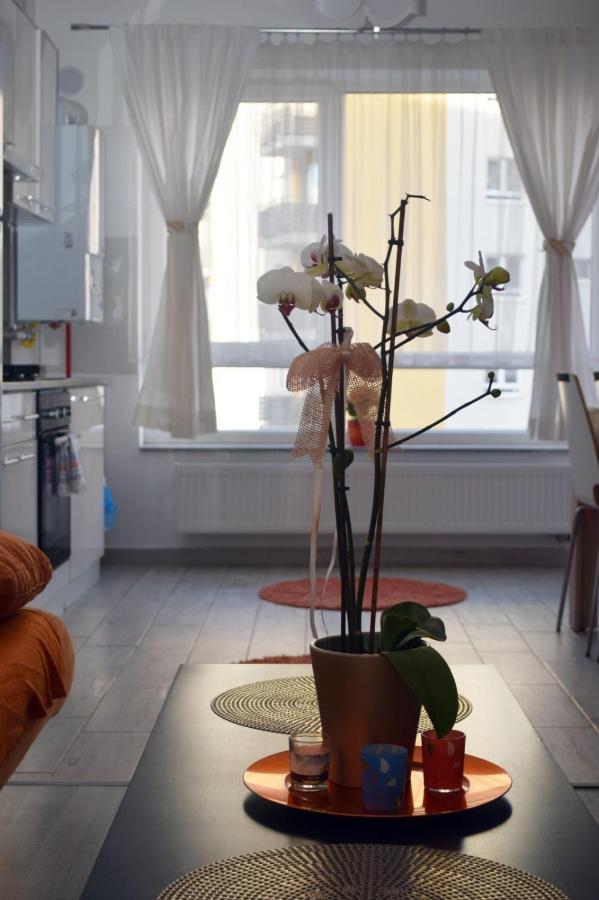 Aki Studio Apartment Brasov Exterior photo